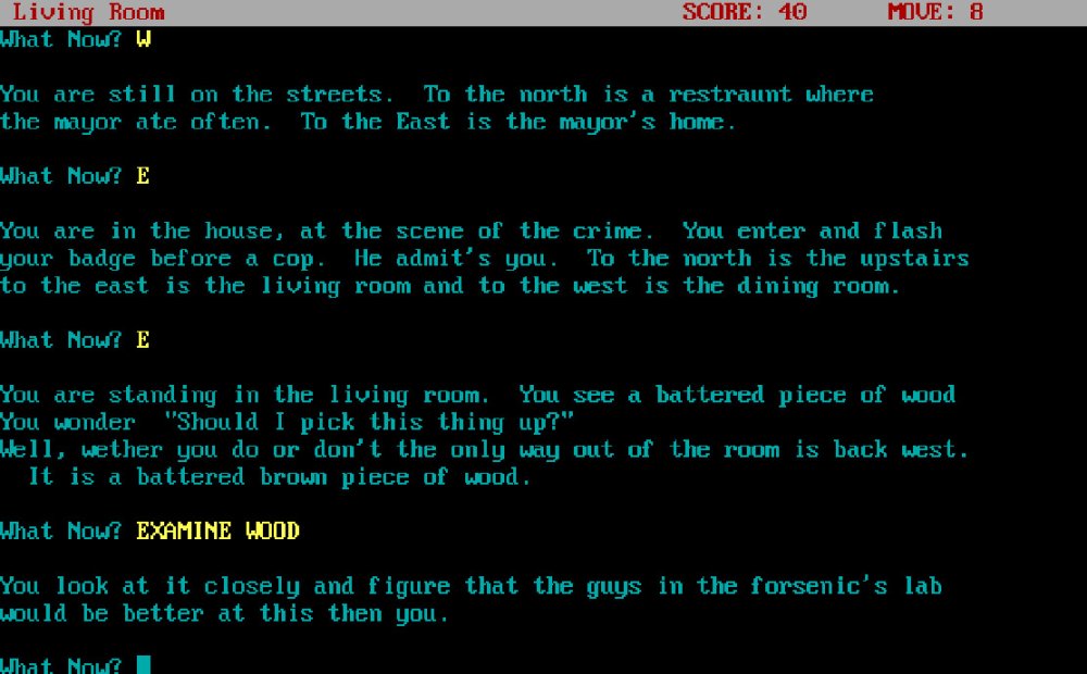 Detective: A Text Adventure Game retro game