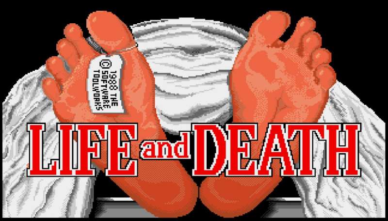Life & Death retro game