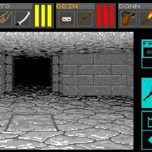 Dungeon Master retro game